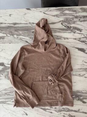 J. Crew Dusty Rose Hooded Sweatshirt